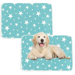 ODIPIE 2-Pack Washable Dog Pee Pads, Waterproof, Reusable, Puppy Training Mat, Size (50 x 70 cm) ODIPIE 2-Pack Washable Dog Pee Pads, Waterproof, Reusable, Puppy Training Mat, Size (50 x 70 cm)