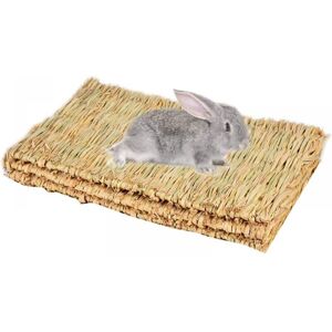 SNQ (3 Pack) Hand-Woven Rabbit Grass Mat, Natural Toy for Small Animals Like Rabbits, Guinea Pigs, Hamsters and Chinchillas SNQ (3 Pack) Hand-Woven Rabbit Grass Mat, Natural Toy for Small Animals Like Rabbits, Guinea Pigs, Hamsters and Chinchillas