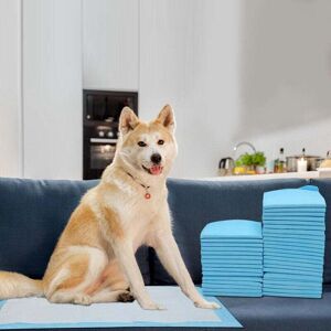SNQ 40 absorbent puppy pads (60 x 60 cm) SNQ 40 absorbent puppy pads (60 x 60 cm)