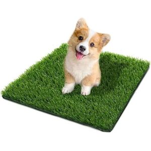 TEHTUY 50x60cm Artificial Grass Dog Mat, Pet Grass Mat, Reusable Artificial Grass Dog Toilet for Training Your Puppy TEHTUY 50x60cm Artificial Grass Dog Mat, Pet Grass Mat, Reusable Artificial Grass Dog Toilet for Training Your Puppy