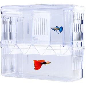 AlwaysH 1 PCS Aquarium Baby Nesting Nest Aquarium Mini Aquarium Fish Tank Aquarium Breeding Box Aquarium Isolation Box with Insulation Compartment AlwaysH 1 PCS Aquarium Baby Nesting Nest Aquarium Mini Aquarium Fish Tank Aquarium Breeding Box Aquarium Isolation Box with Insulation Compartment