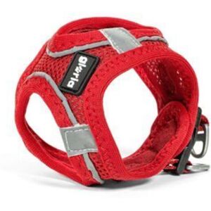 Dog Harness - GLORIA - Trek Star S6102114 - Red - XXS (neck circumference 24–26 cm) - Chest 28–28.6 cm Dog Harness - GLORIA - Trek Star S6102114 - Red - XXS (neck circumference 24–26 cm) - Chest 28–28.6 cm