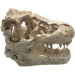 Csparkv - Aquarium Decor Aquarium Decoration Resin Simulation Dinosaur Head Aquarium Decor for Fish Lizard Reptile Hide Cave Aquarium Decoration Csparkv - Aquarium Decor Aquarium Decoration Resin Simulation Dinosaur Head Aquarium Decor for Fish Lizard Reptile Hide Cave Aquarium Decoration
