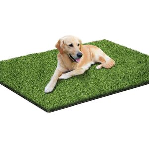 Odipie - Artificial Grass for Dog Pee, Artificial Grass Mat for Puppy Potty Training, Washable Grass Mat, Pee Grass for Dog Litter Box (50×70cm) Odipie - Artificial Grass for Dog Pee, Artificial Grass Mat for Puppy Potty Training, Washable Grass Mat, Pee Grass for Dog Litter Box (50×70cm)