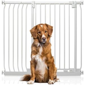 Bettacare - Extra Tall Elite Dog Gate, 107cm - 116cm, Matt White, Extra Tall 96.8cm in Height, Pressure Fit Pet Gate Bettacare - Extra Tall Elite Dog Gate, 107cm - 116cm, Matt White, Extra Tall 96.8cm in Height, Pressure Fit Pet Gate