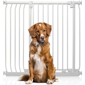 Bettacare - Extra Tall Elite Dog Gate, 98cm - 107cm, Matt White, Extra Tall 96.8cm in Height, Pressure Fit Pet Gate Bettacare - Extra Tall Elite Dog Gate, 98cm - 107cm, Matt White, Extra Tall 96.8cm in Height, Pressure Fit Pet Gate