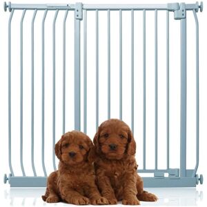 Bettacare - Extra Tall Elite Dog Gate, 107cm - 116cm, Matt Grey, Extra Tall 96.8cm in Height, Pressure Fit Pet Gate Bettacare - Extra Tall Elite Dog Gate, 107cm - 116cm, Matt Grey, Extra Tall 96.8cm in Height, Pressure Fit Pet Gate