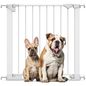 Bettacare SafeStep Dog Gate, White, 75cm - 82cm, Extra Low Walkthrough, Pressure Fit Safety Gate, Pet Gate for Stairs and Doors Bettacare SafeStep Dog Gate, White, 75cm - 82cm, Extra Low Walkthrough, Pressure Fit Safety Gate, Pet Gate for Stairs and Doors