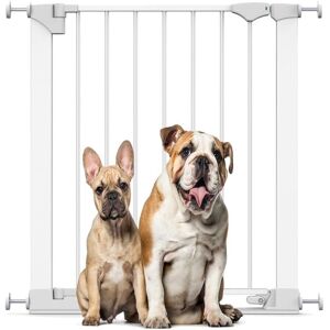 Bettacare - SafeStep Dog Gate, White, 68cm - 75cm, Extra Low Walkthrough, Pressure Fit Safety Gate, Pet Gate for Stairs and Doors Bettacare - SafeStep Dog Gate, White, 68cm - 75cm, Extra Low Walkthrough, Pressure Fit Safety Gate, Pet Gate for Stairs and Doors