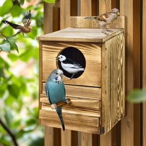 BingoPaw Blue Bird Box House, Wood Bird Houses for Outside, Hummingbird House for Outside Clearance Garden Country Cottages BingoPaw Blue Bird Box House, Wood Bird Houses for Outside, Hummingbird House for Outside Clearance Garden Country Cottages