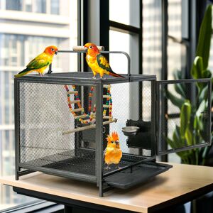 Bingo Paw - BingoPaw Wrought Iron Bird Travel Carrier Cage for Parrots Conures Lovebird Cockatiel Parakeets Black Bingo Paw - BingoPaw Wrought Iron Bird Travel Carrier Cage for Parrots Conures Lovebird Cockatiel Parakeets Black