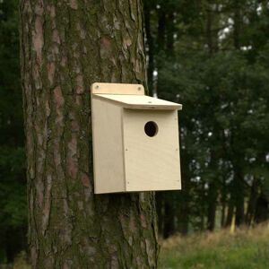 Bird Box Kit with 32mm Hole - Plywood - L15 x W13 x H23 cm Bird Box Kit with 32mm Hole - Plywood - L15 x W13 x H23 cm
