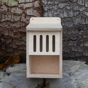 Bug Box Kit - Plywood - L15 x W13 x H23 cm Bug Box Kit - Plywood - L15 x W13 x H23 cm
