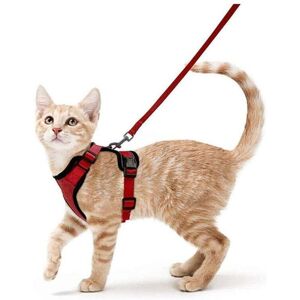 TORMATOR Cat Harness Small Dog Leash Adjustable Kitten Harness Red Collar Reflective Cat Harness Breathable Vest for Rabbit, European Shorthair, Maine Coon, TORMATOR Cat Harness Small Dog Leash Adjustable Kitten Harness Red Collar Reflective Cat Harness Breathable Vest for Rabbit, European Shorthair, Maine Coon,