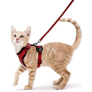 TORMATOR Cat Harness Small Dog Leash Adjustable Kitten Harness (Red S) Reflective Cat Harness Collar Breathable Vest for Rabbit, European Shorthair, Maine TORMATOR Cat Harness Small Dog Leash Adjustable Kitten Harness (Red S) Reflective Cat Harness Collar Breathable Vest for Rabbit, European Shorthair, Maine