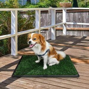 Trimec - Chiens pelouse toilette chien toilette chien pot chien toilette lavable chiot pot chiot toilette avec tapis d'herbe 46x70cm Tapis, coussin Trimec - Chiens pelouse toilette chien toilette chien pot chien toilette lavable chiot pot chiot toilette avec tapis d'herbe 46x70cm Tapis, coussin