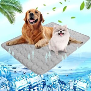 SNQ Cooling mat for dogs and cats - For summer - Self-cooling - Washable - Waterproof cooling cushion - Non-slip - Comfortable - Grey - M (60 x 50 cm) SNQ Cooling mat for dogs and cats - For summer - Self-cooling - Washable - Waterproof cooling cushion - Non-slip - Comfortable - Grey - M (60 x 50 cm)
