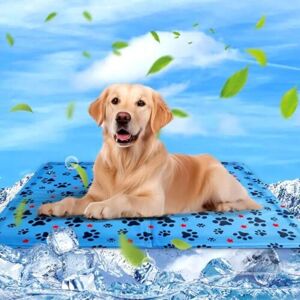 Odipie - Dog & Cat Cooling Mat Cooling Cushion for Dogs, Cooling Mat for Pets, Waterproof and Easy to Clean, Suitable for Small and Large Companion Odipie - Dog & Cat Cooling Mat Cooling Cushion for Dogs, Cooling Mat for Pets, Waterproof and Easy to Clean, Suitable for Small and Large Companion