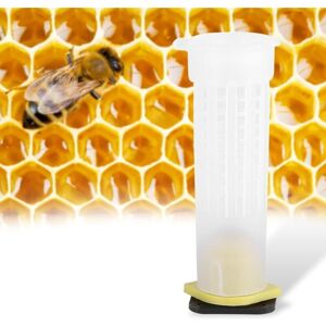 Csparkv - 10 Plastic Roller Cages, Queen Bee Rearing Cup Kit Cages Beekeeping Tool Equipment (10 x Roller Cages) Csparkv - 10 Plastic Roller Cages, Queen Bee Rearing Cup Kit Cages Beekeeping Tool Equipment (10 x Roller Cages)