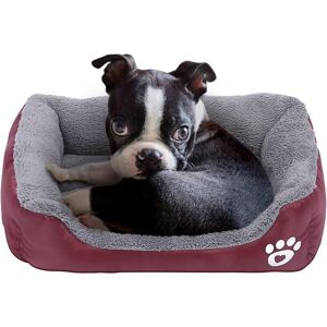 Longziming - Dog Bed, Waterproof Pet Mat Cushion and Sleeping Pad for Kitty Cat and Small Puppy Dog, Soft and Washable (Red) Longziming - Dog Bed, Waterproof Pet Mat Cushion and Sleeping Pad for Kitty Cat and Small Puppy Dog, Soft and Washable (Red)