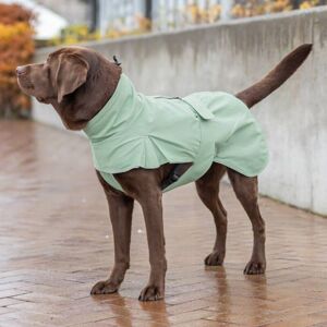 Dog Coat - Trixie - CityStyle Dublin - Waterproof - Sage Green - Polyester/Cotton Dog Coat - Trixie - CityStyle Dublin - Waterproof - Sage Green - Polyester/Cotton