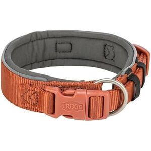 Dog Collar - TRIXIE - Premium - Extra Large - Rust/Graphite Gray - Secure Buckle Dog Collar - TRIXIE - Premium - Extra Large - Rust/Graphite Gray - Secure Buckle