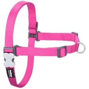 Dog Harness - RED DINGO - Fuchsia - Size S - 36-50 cm - Multicolored Dog Harness - RED DINGO - Fuchsia - Size S - 36-50 cm - Multicolored