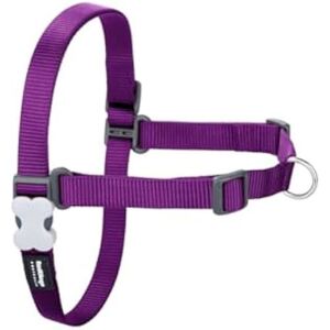 Dog Harness - RED DINGO - Purple - Size M/L - 35x17x5 cm - Multicolor Dog Harness - RED DINGO - Purple - Size M/L - 35x17x5 cm - Multicolor