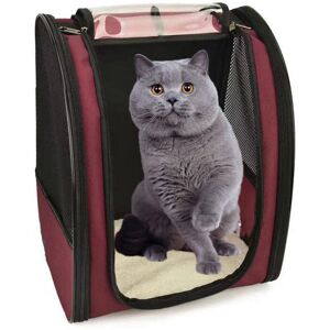 Hoopzi - Expandable Cat Puppy Carrier Bag Dog Backpack Small Breathable Mesh, Spacious, Foldable, for Train/Car/Restaurant/Plane Travel Hoopzi - Expandable Cat Puppy Carrier Bag Dog Backpack Small Breathable Mesh, Spacious, Foldable, for Train/Car/Restaurant/Plane Travel