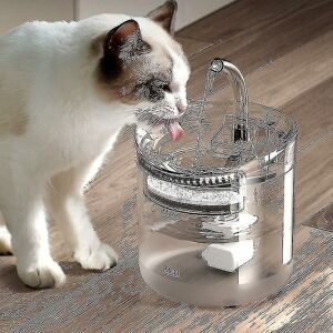 Groofoo - Fontaine à boire automatique pour chat, 2l, pour chiot et chat Groofoo - Fontaine à boire automatique pour chat, 2l, pour chiot et chat