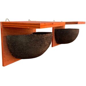 Selections - House Martin Bird Nest Boxes (Set of 2) Selections - House Martin Bird Nest Boxes (Set of 2)