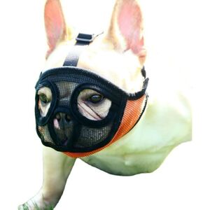 SNQ Mesh Dog Muzzle, Short Dog Muzzle, Adjustable Breathable Mesh Dog Muzzle, Bulldog Muzzle to Prevent Biting, Chewing and Barking, Dog Mask, Orange, SNQ Mesh Dog Muzzle, Short Dog Muzzle, Adjustable Breathable Mesh Dog Muzzle, Bulldog Muzzle to Prevent Biting, Chewing and Barking, Dog Mask, Orange,