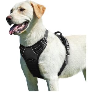 Serbia - Noir, L,Harnais Chien, Harnais Anti Traction pour Chien Réfléchissant Réglable, Facile à Mettre, avec Poignée Contrôle, Arnet pour Chien Serbia - Noir, L,Harnais Chien, Harnais Anti Traction pour Chien Réfléchissant Réglable, Facile à Mettre, avec Poignée Contrôle, Arnet pour Chien