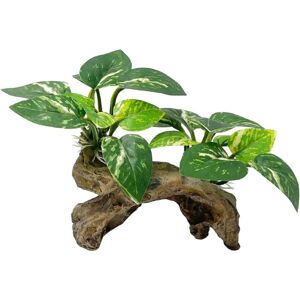 Groofoo - Pets Fish Tank Decorations Aquarium Decor Ornaments Betta Silk Leaf pad Hammock Artifical Driftwood cave Goldfish Bowl Accessories (Type-C) Groofoo - Pets Fish Tank Decorations Aquarium Decor Ornaments Betta Silk Leaf pad Hammock Artifical Driftwood cave Goldfish Bowl Accessories (Type-C)