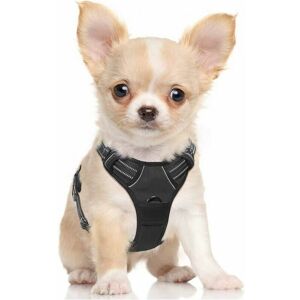 Dewdat - Rabbitgoo Dog Harness, Anti-Pull Harness with 2 Leash Clips, Adjustable Soft Padded Dog Vest, Choke-Free Reflective Oxford Vest with Easy Dewdat - Rabbitgoo Dog Harness, Anti-Pull Harness with 2 Leash Clips, Adjustable Soft Padded Dog Vest, Choke-Free Reflective Oxford Vest with Easy
