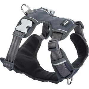 Dog Harness - RED DINGO - Sport - Padded - Gray - Size T1 Dog Harness - RED DINGO - Sport - Padded - Gray - Size T1