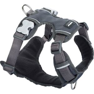 Dog Harness - RED DINGO - Sport - Padded - 4 adjusters - Reflective strips Dog Harness - RED DINGO - Sport - Padded - 4 adjusters - Reflective strips