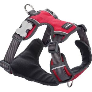 Dog Harness - RED DINGO - Sport - Padded - Size T3 - Red - Reflective Dog Harness - RED DINGO - Sport - Padded - Size T3 - Red - Reflective