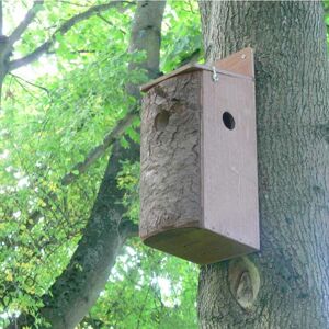 Red Squirrel Nest Box - Plywood - L20 x W15 x H50 cm Red Squirrel Nest Box - Plywood - L20 x W15 x H50 cm