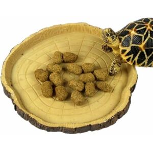 TEHTUY Small Reptile Bowl – Bowl, Water Bowl, Food Bowl for Reptiles, Geckos, Turtles, Snakes - Terrarium Accessories (Strain) TEHTUY Small Reptile Bowl – Bowl, Water Bowl, Food Bowl for Reptiles, Geckos, Turtles, Snakes - Terrarium Accessories (Strain)