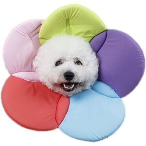 ROSE Soft and breathable floral border for pets and easy to clean (colorful, M) ROSE Soft and breathable floral border for pets and easy to clean (colorful, M)