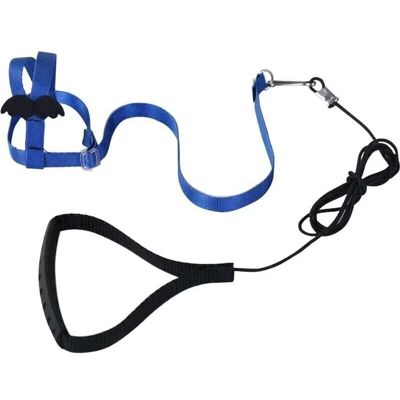 YMYNY 1pcs (Blue) Adjustable Parrot Harness Pet Leash Anti-bite Rope Elastic Strap Suitable for Birds Parakeets Peony Parrots Pacific Parrots mumu YMYNY 1pcs (Blue) Adjustable Parrot Harness Pet Leash Anti-bite Rope Elastic Strap Suitable for Birds Parakeets Peony Parrots Pacific Parrots mumu
