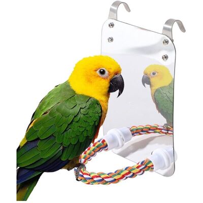 Bird Mirror Toy with Rope, Parrot Hanging Toy, Large Mirror Chew Toy for Parrots and Parakeets Ymyny Bird Mirror Toy with Rope, Parrot Hanging Toy, Large Mirror Chew Toy for Parrots and Parakeets Ymyny