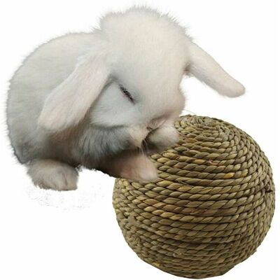 TRIMEC Boule d'herbe Naturelle pour Animaux de Compagnie à macher pour Jouets de Nettoyage des Dents pour Petit Chat Rongeur TRIMEC Boule d'herbe Naturelle pour Animaux de Compagnie à macher pour Jouets de Nettoyage des Dents pour Petit Chat Rongeur