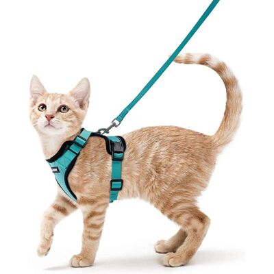 IKODM Cat Harness Small Dog Leash Adjustable Kitten Harness Green xs Reflective Cat Harness Collar Breathable Vest for Rabbit, European Cat, Maine Coon, IKODM Cat Harness Small Dog Leash Adjustable Kitten Harness Green xs Reflective Cat Harness Collar Breathable Vest for Rabbit, European Cat, Maine Coon,