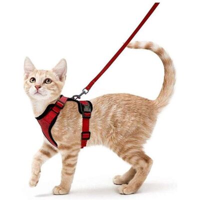 SNQ Cat Harness Small Dog Leash Adjustable Kitten Harness Red Collar Reflective Cat Harness Breathable Vest for Rabbit, European Shorthair, Maine Coon, SNQ Cat Harness Small Dog Leash Adjustable Kitten Harness Red Collar Reflective Cat Harness Breathable Vest for Rabbit, European Shorthair, Maine Coon,