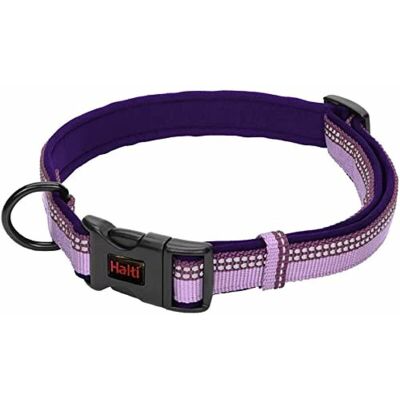 Halti Dog Collar Purple Small - Dog Collar Halti Dog Collar Purple Small - Dog Collar