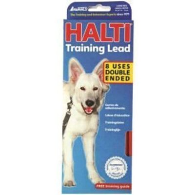 The Company Of Animals COA-HTL4 Red Large Training Lead The Company Of Animals COA-HTL4 Red Large Training Lead