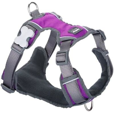 Dog Harness - RED DINGO - Dingo - Purple - Size XL - 62-108 cm Dog Harness - RED DINGO - Dingo - Purple - Size XL - 62-108 cm