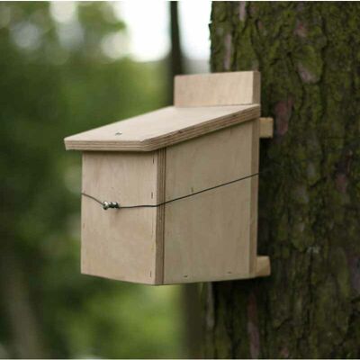 Dormouse Nest box - Plywood - L15 x W13 x H21 cm Dormouse Nest box - Plywood - L15 x W13 x H21 cm